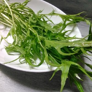 よく洗って生でも食べれる水菜サラダ～保存方法